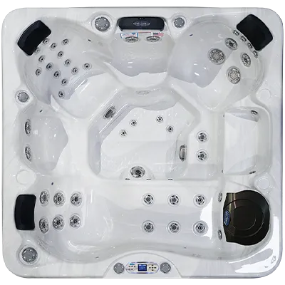 Avalon EC-849L hot tubs for sale in Rockville