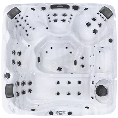 Avalon EC-867L hot tubs for sale in Rockville